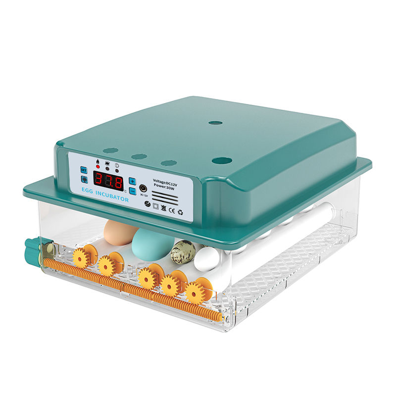 स्वचालित अंडे इनक्यूबेटर घरेलू इलेक्ट्रिक मॉडल FE-016