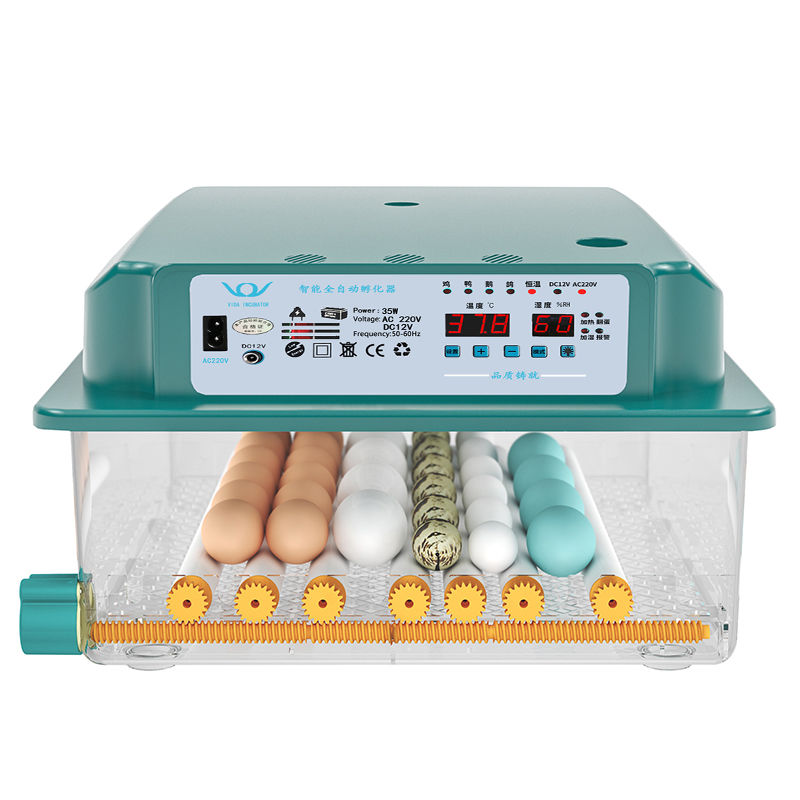 Automatic egg incubator household electric model FE-036