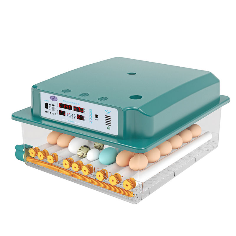 Awtomatikong egg incubator sa bahay electric