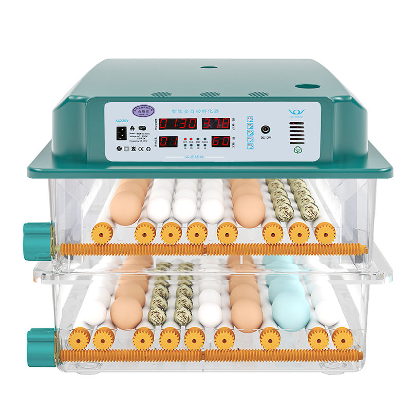 स्वयंचलित अंडी इनक्यूबेटर घरगुती इलेक्ट्रिक