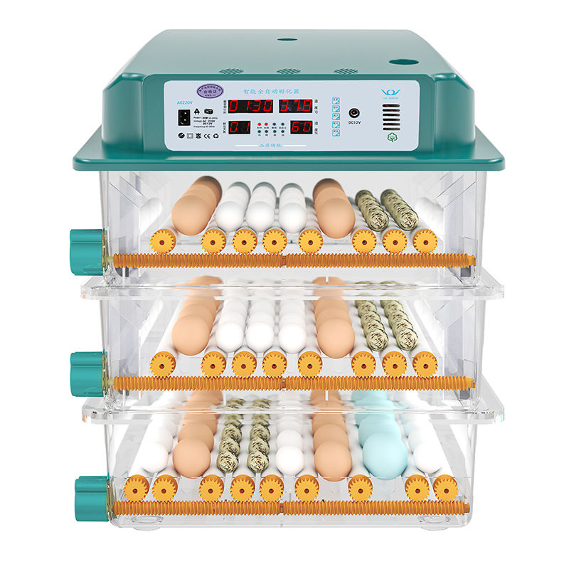 Automatický inkubátor vajec pre domácnosť elektrický