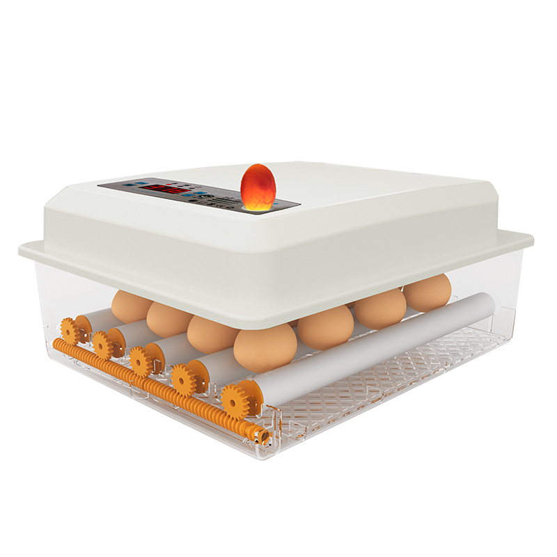 Máy ấp trứng tự động chạy điện, Máy ấp trứng mini gia đình, Model SC-016, công suất 35w, 1.5kg / 30 * 27 * 17cm đóng gói riêng