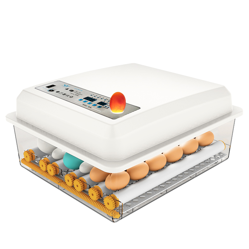 Awtomatikong egg incubator electric, Mini incubator nga panimalay, Model SC-036, gahum 45w, 2.75kg/41.5*16*37cm indibidwal nga packing