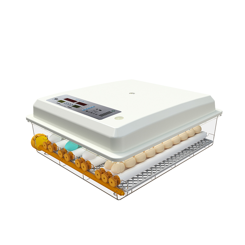 Automatic egg incubator electric, Mini incubator household,              Model SC-064, power 55w, 4.2kg/52.5*24*46.5cm individual packing