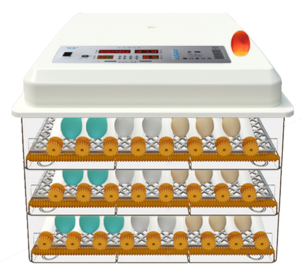 Awtomatikong egg incubator electric, Mini incubator nga panimalay, Model SC-176, gahum 95w, 8.7kg/52.5*24*78cm indibidwal nga packing