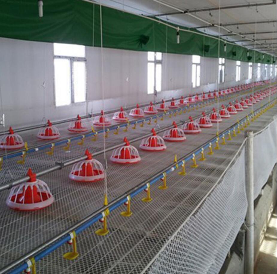 Electric pan feeding line, Automatic pan feeder system, Chicken feeding tools automatic