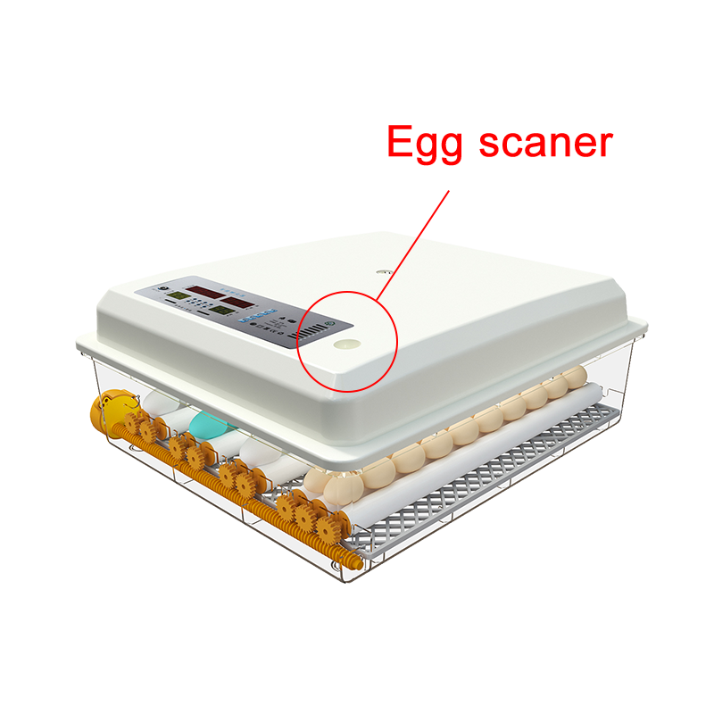 64 ägg automatisk inkubator