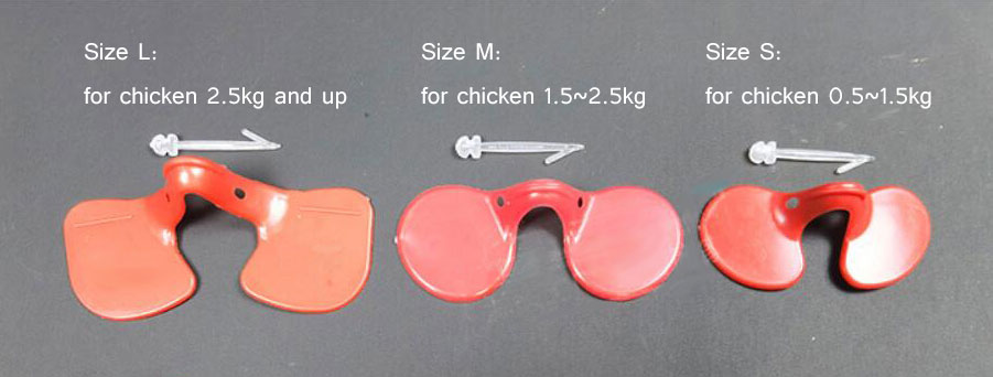 Size and using guidance of Chicken glasses